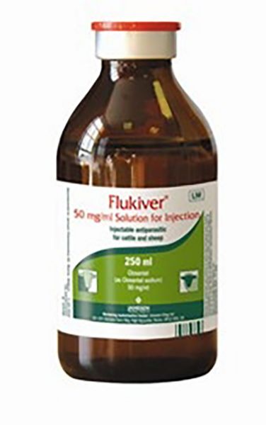 Picture of Flukiver - 4x250ml