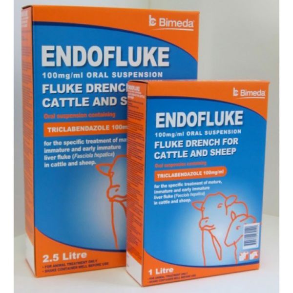 Picture of Endofluke 10% - 1lt