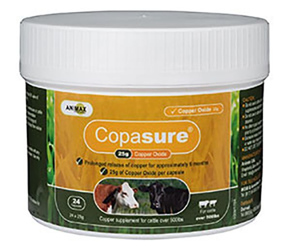 Picture of Animax Copasure - 27g x24 - Cattle - IE
