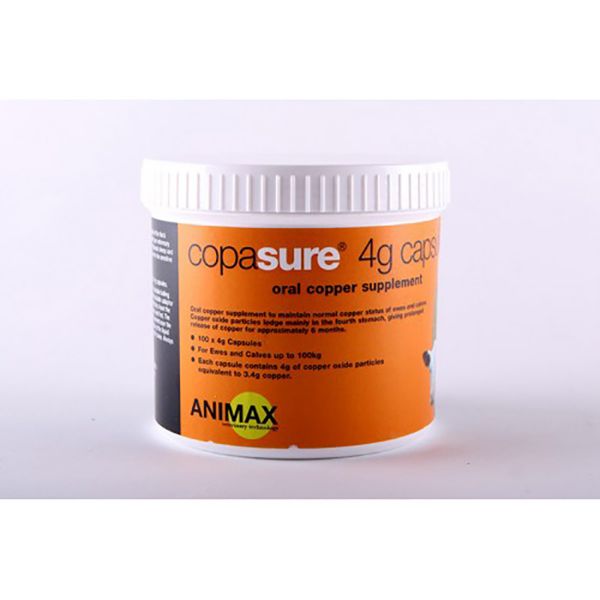 Picture of Animax Copasure - 4g x100 - Sheep/Calf