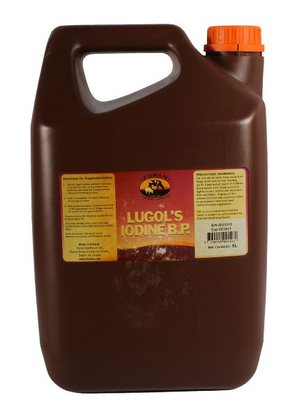 Picture of Lugols Iodine - 5lt