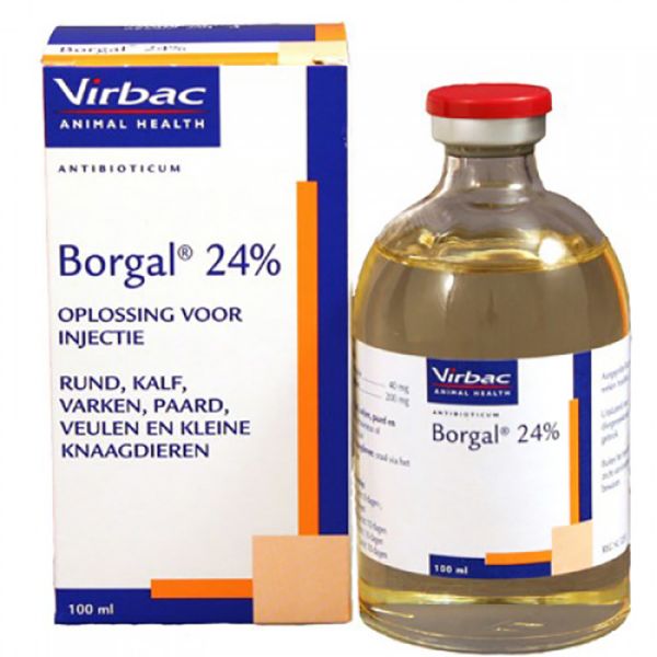 Picture of Borgal 24% - 100ml