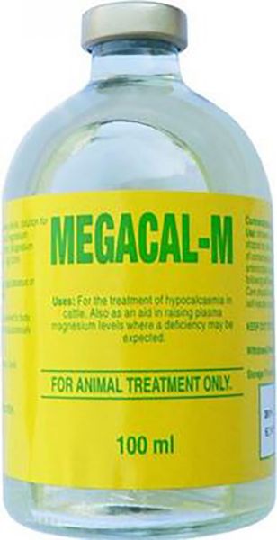 Picture of Megacal M - 100ml