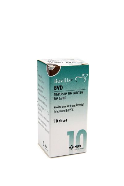 Picture of Bovilis Bvd - 20ml