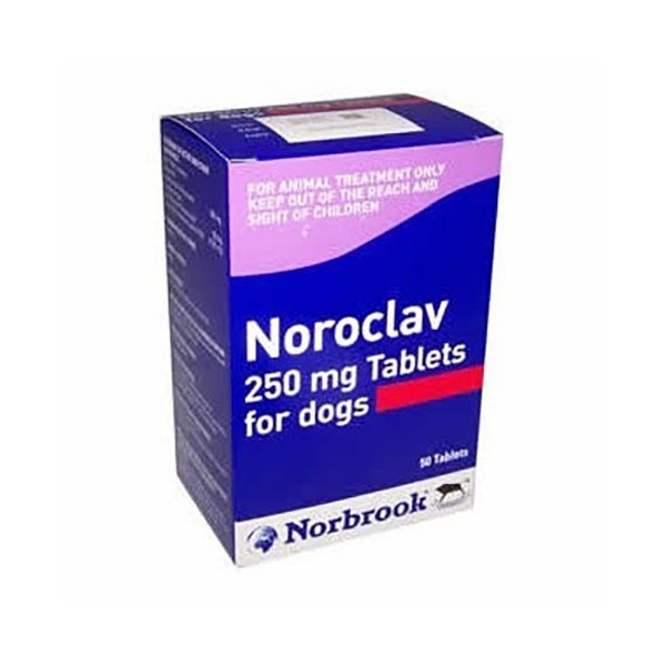 Picture of Noroclav Tablets - 250mg - 50 pack