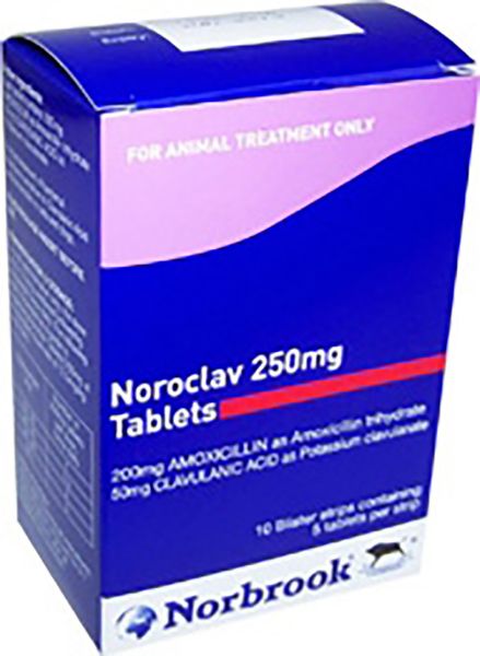 Picture of Noroclav Tablets - 250mg - 250 pack