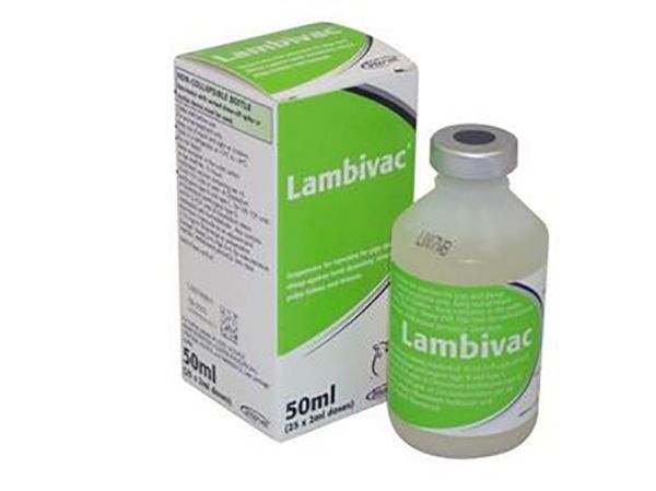 Picture of Lambivac - 50ml