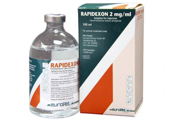 Picture of Rapidexon - 100ml