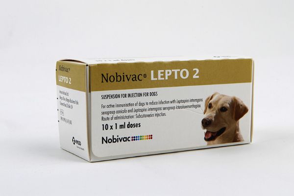 Picture of Nobi-Vac Lepto 2 - 1ml x10