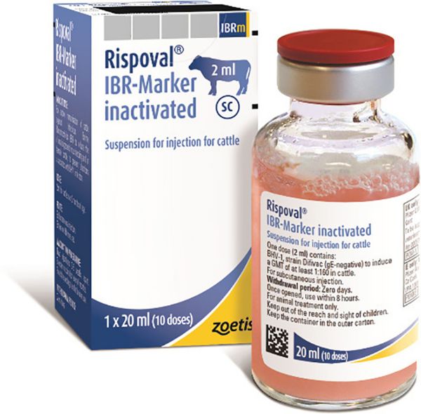 Picture of Rispoval IBR Marker Inactivated - 20ml