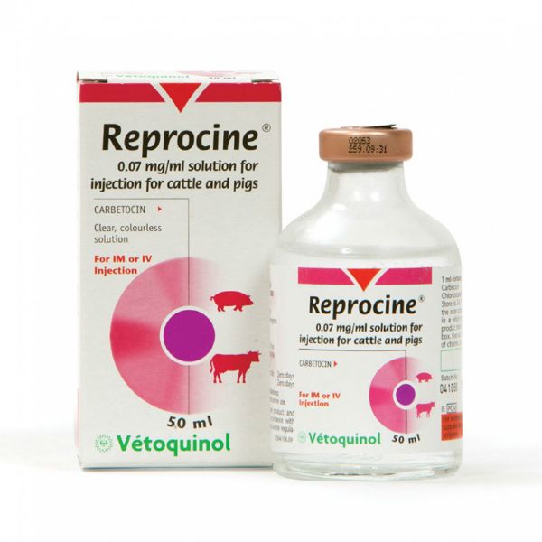 Picture of Reprocine - 50ml