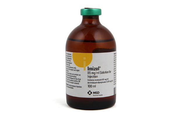 Picture of Imizol - 100ml