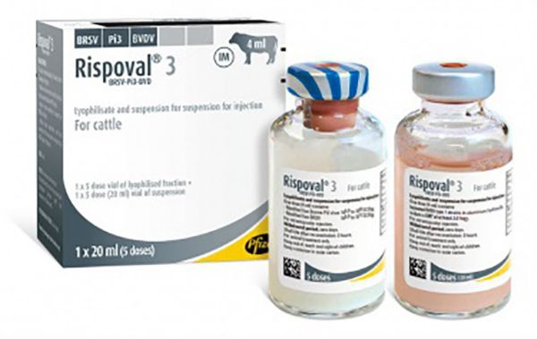Picture of Rispoval 3 - 20ml