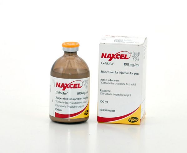 Picture of Naxcel - 100ml - Pig