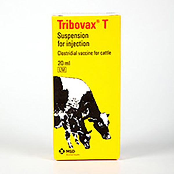 Picture of Tribovax T - 20ml