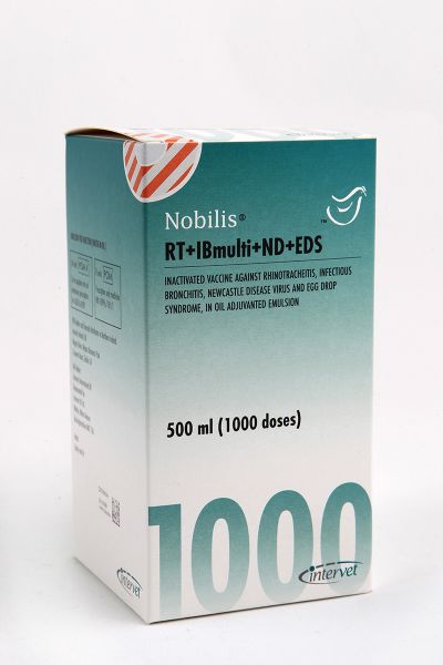Picture of Nobilis RT+IBmulti+ND+EDS - 1000 Dose