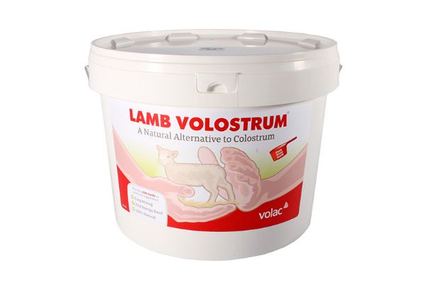 Picture of Volostrum Lamb - 2.5kg