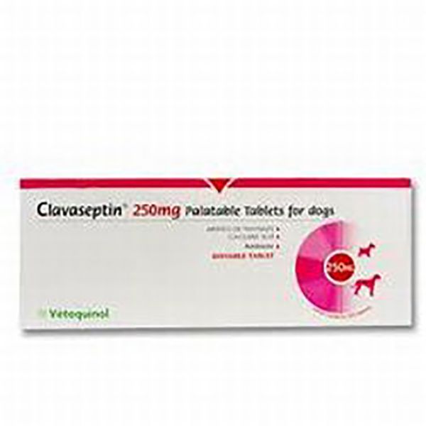 Picture of Clavaseptin - 250 mg - 100 pack
