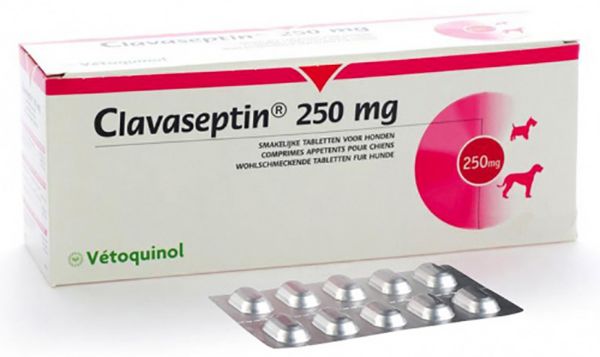 Picture of Clavaseptin - 250mg - 250 pack