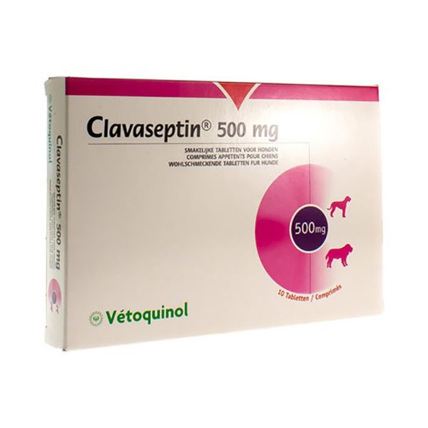Picture of Clavaseptin - 500mg - 100 pack