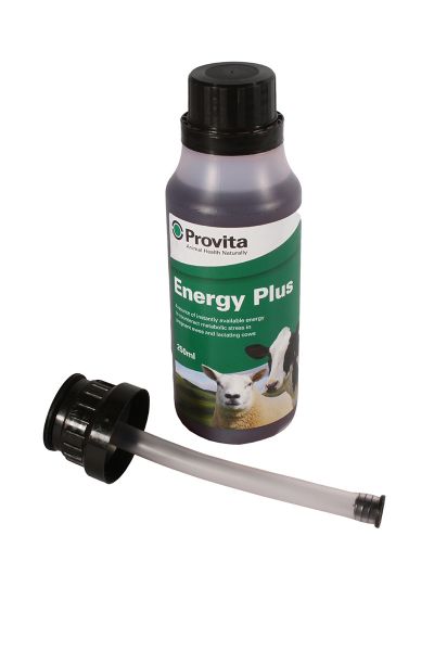 Picture of Provita Energy Plus - 250ml