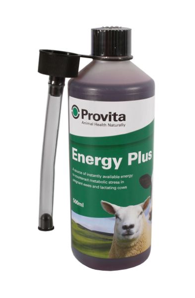 Picture of Provita Energy Plus - 500ml