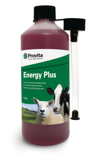 Picture of Provita Energy Plus - 1lt