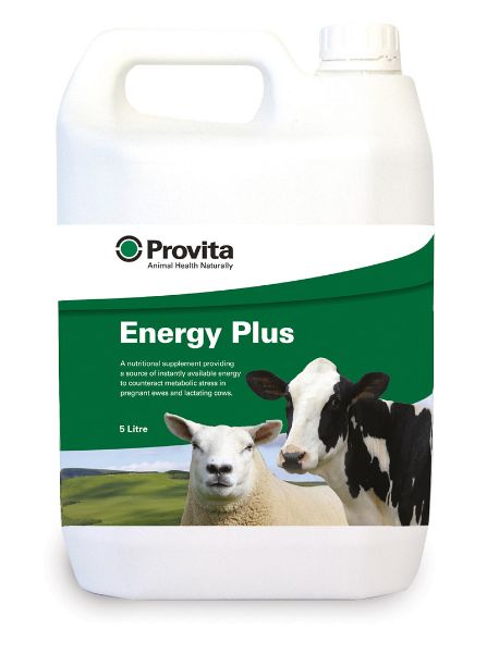 Picture of Provita Energy Plus - 5lt