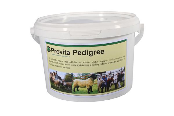 Picture of Provita Pedigree - 1kg