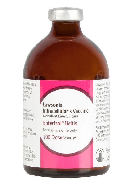 Picture of Enterisol Ileitis - 100ml