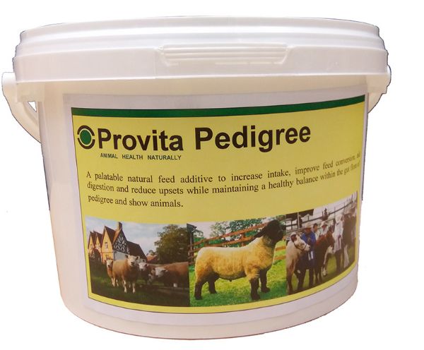 Picture of Provita Pedigree - 5kg