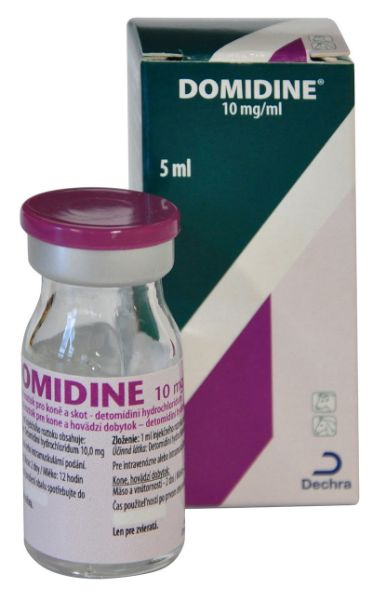 Picture of Domidine - 5ml