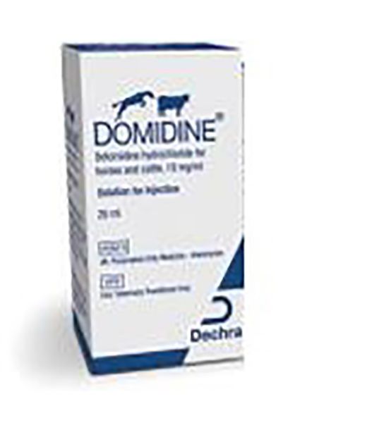 Picture of Domidine - 10ml