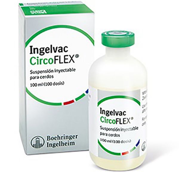 Picture of Ingelvac Circoflex - 100ml