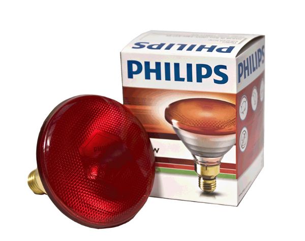 Picture of Philips Heatlamp Bulb - 150w - Red