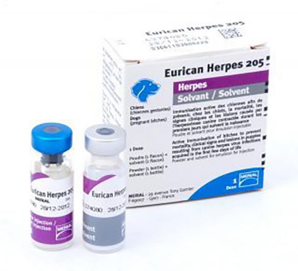 Picture of Eurican Herpes - 1ml