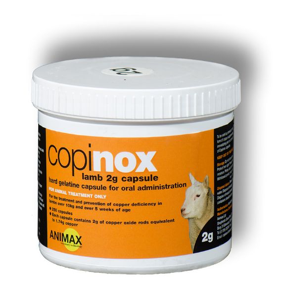 Picture of Animax Copinox - 2g x250 - Lamb
