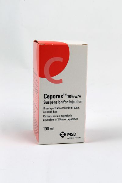 Picture of Ceporex - 100ml