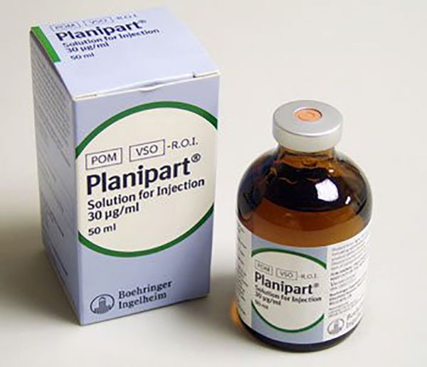 Picture of Planipart - 50ml