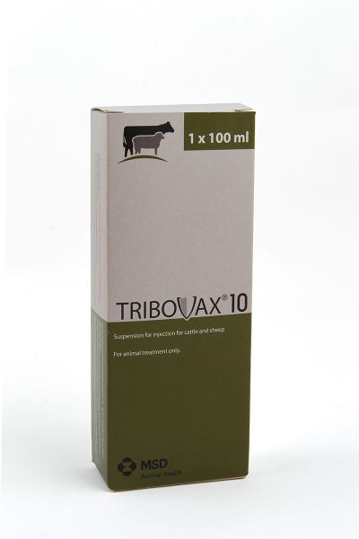 Picture of Tribovax 10 - 100ml