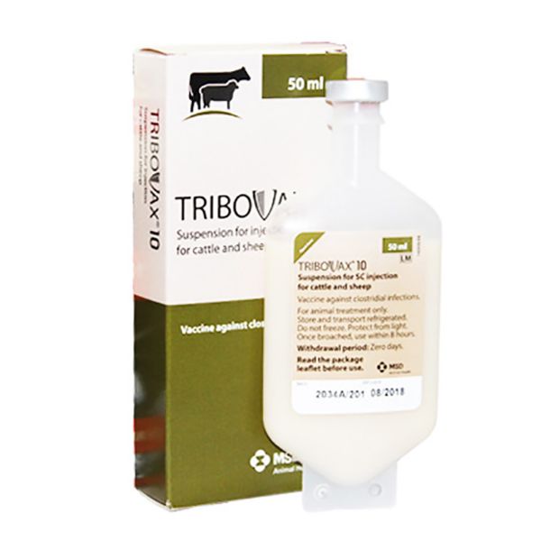 Picture of Tribovax 10 - 50ml