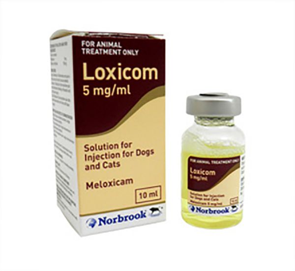 Picture of Loxicom Injection - 10ml