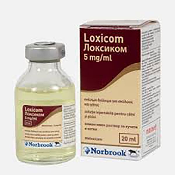 Picture of Loxicom Injection - 20ml