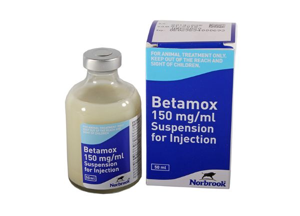 Picture of Betamox R.T.U. - 50ml