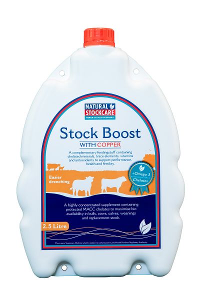 Picture of Stock Boost - 2.5lt