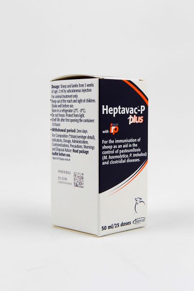 Picture of Heptavac P Plus - 50ml - IE