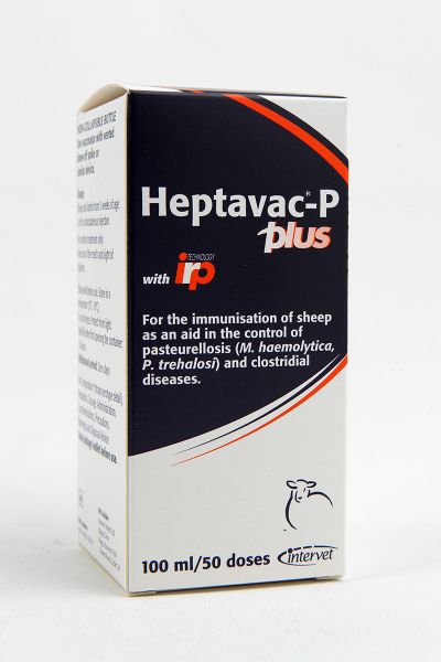 Picture of Heptavac P Plus - 100ml - IE
