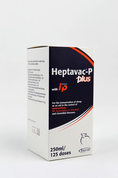 Picture of Heptavac P Plus - 250ml - IE
