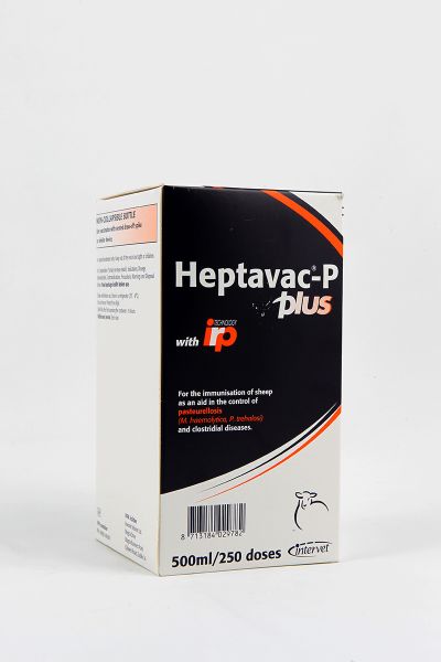 Picture of Heptavac P Plus - 500ml - IE