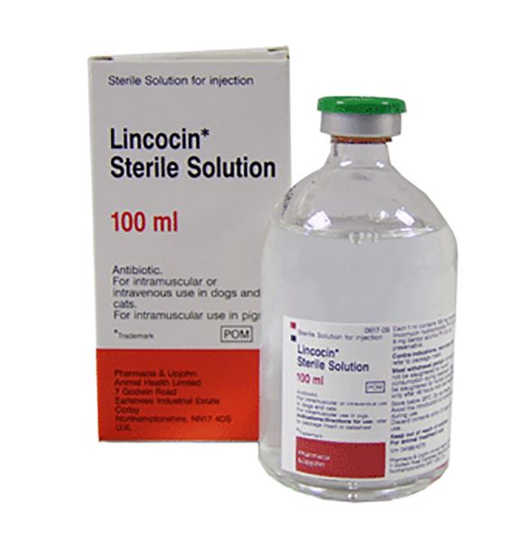 Picture of Lincocin - 100ml